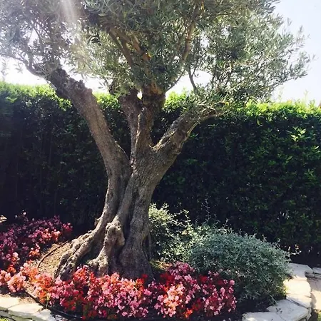 Villa Fabulous In Albarella Private Island